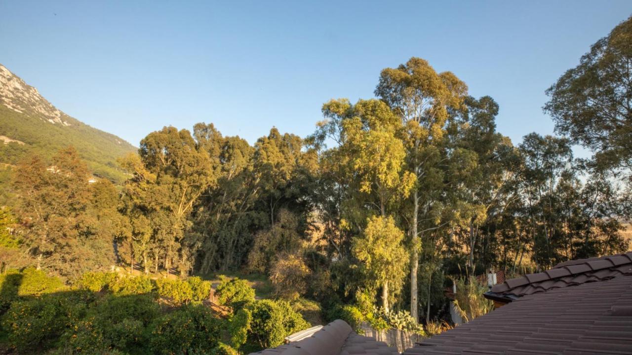 Baleze Boutique Hotel - Adults Only 阿奇亚卡 外观 照片